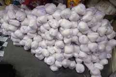 IMG-20231221-WA0049